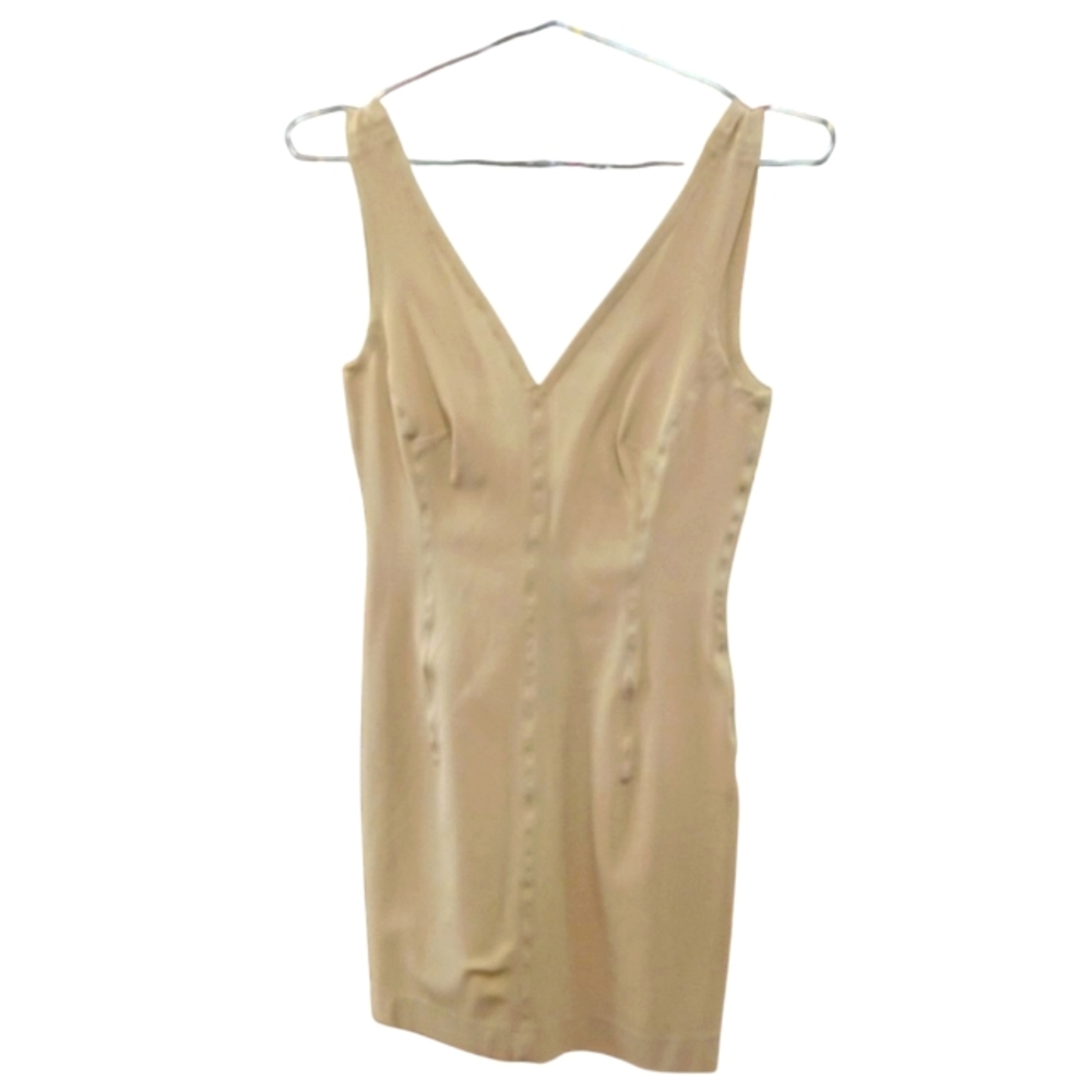 Philosophy Di Alberta Ferretti Mesh Nude Dress